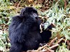 Rwanda - Svačina (Marta Mašková)